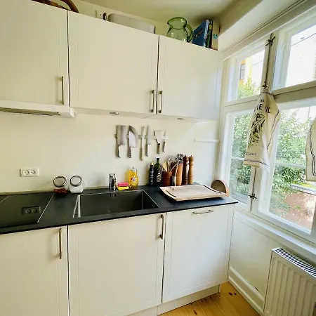 Apartment Fiddle House